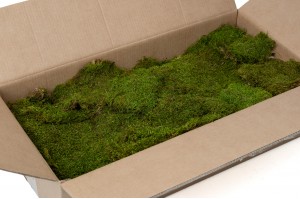 preserved-flat-moss-bulk-box-26.