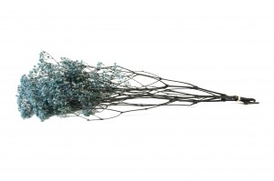 gypsophile-stabilise-37.