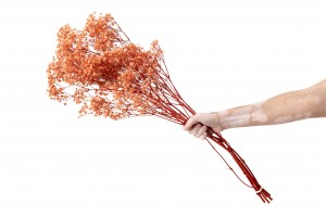 gypsophile-stabilise-37.