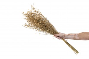 dried-flax-20.