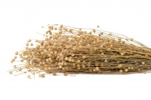 lin-sec-20.