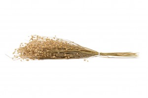 dried-flax-20.