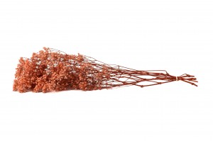 gypsophile-stabilise-37.