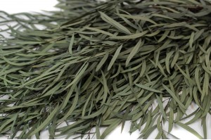 eucalyptus-nicoly-stabilise-6.