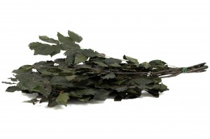 stabilisierte-buche-6.