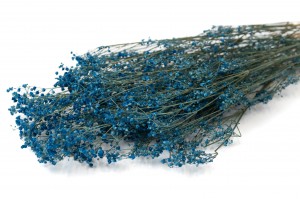 preserved-gypsophila-paniculata-6.
