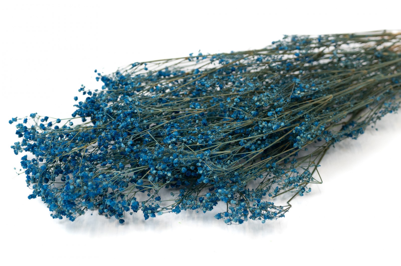 preserved-gypsophila-paniculata-6