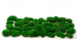 preserved-pole-moss-5-cn.