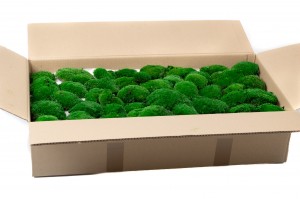 preserved-pole-moss-5-cn.