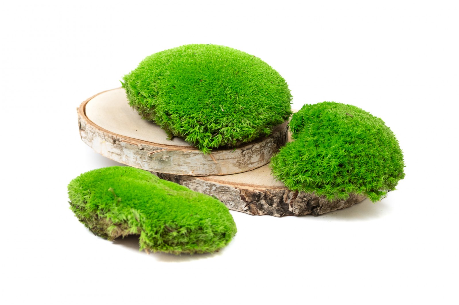 mousse-boule-stabilisee-5-cn