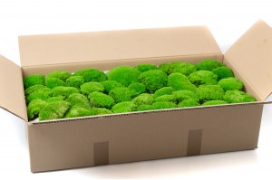 preserved-pole-moss-5-cn.