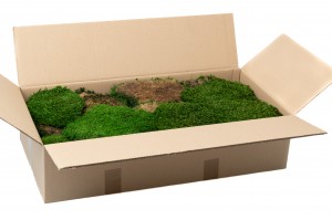 flame-retardant-flat-preserved-moss-5-cn.