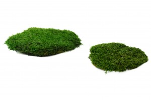 flame-retardant-flat-preserved-moss-5-cn.
