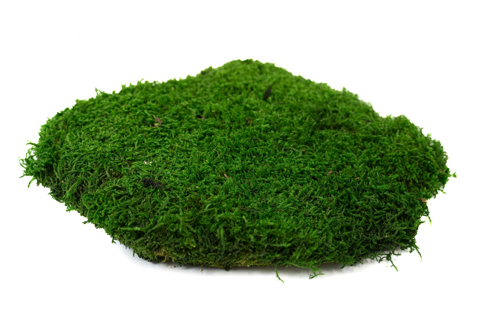 flame-retardant-flat-preserved-moss-5-cn