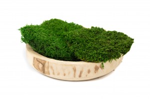 mousse-plate-stabilisee-ignifugee-5-cn.