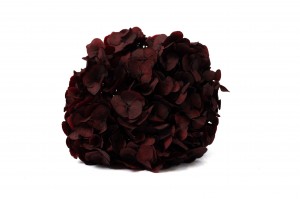 preserved-hydrangea-14.