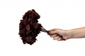 preserved-hydrangea-14.