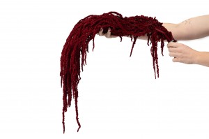 preserved-amaranthus-8.