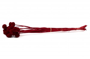 stabilisierter-trommelstock-8.