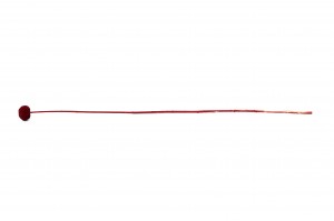 craspedie-stabilise-8.