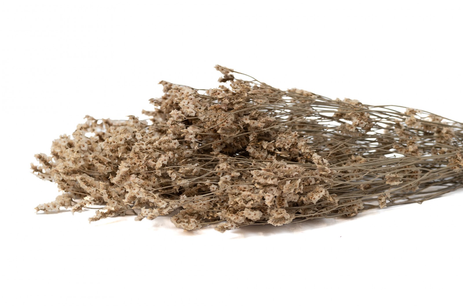preserved-limonium-sinensis-8