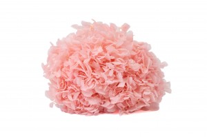 preserved-hydrangea-7.