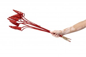 cane-cone-seche-29.