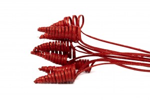 cane-cone-seche-29.