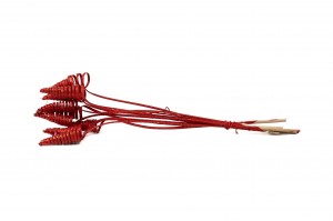 cane-cone-seche-29.