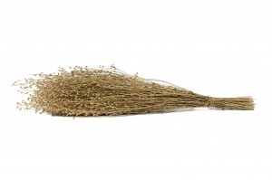 lepidium-sec-29.