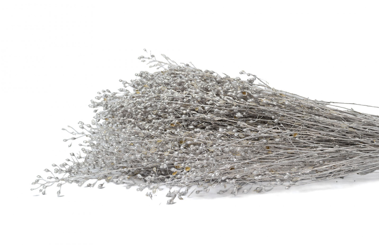 lepidium-sec-29