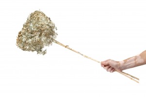 stabilisierte-anna-hortensien-8.