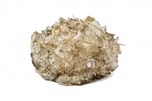 preserved-hydrangea-8.