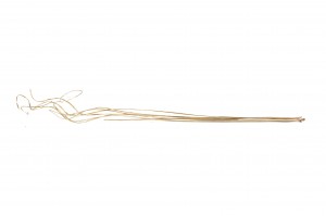dried-curly-ting-ting-29.