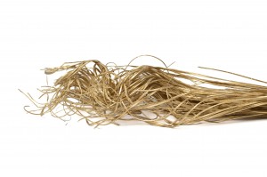dried-curly-ting-ting-29