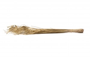 dried-curly-ting-ting-29.