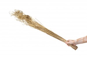 dried-curly-ting-ting-29.