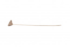 dried-lotus-29.