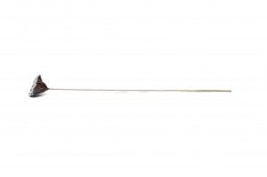 lotus-sec-29.
