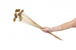 dried-wooden-roses-29.