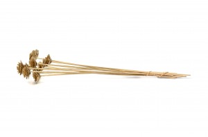 roses-en-bois-seche-29.