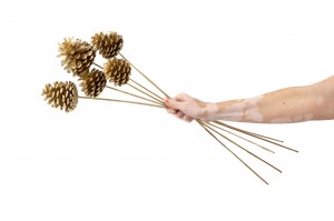 pine-cone-on-stem-29.