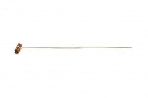 dried-cinnamon-on-stem-29.