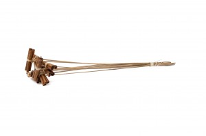 dried-cinnamon-on-stem-29.