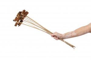 dried-cinnamon-on-stem-29.