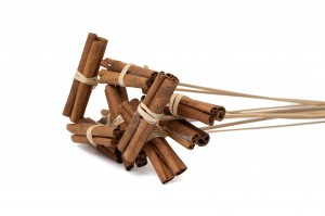 dried-cinnamon-on-stem-29