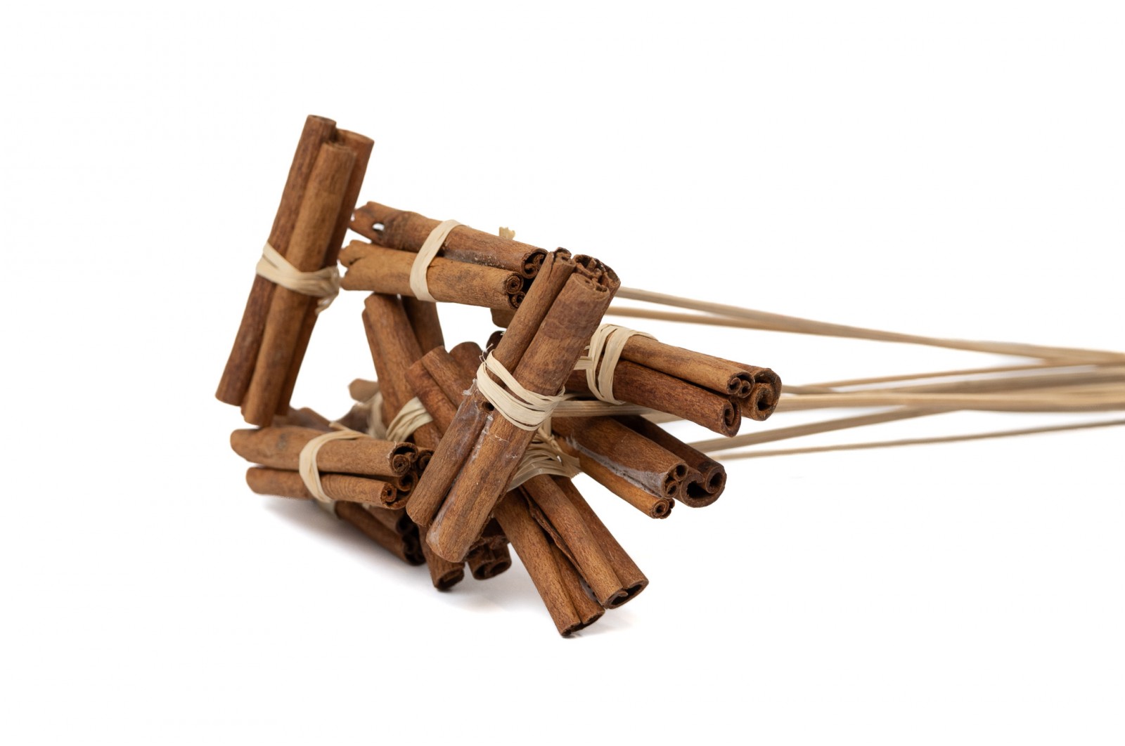 Dried cinnamon on stem (29) dried-cinnamon-on-stem-29