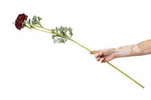 artificial-ranunculus-41.