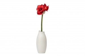 amaryllis-artificielle-41.