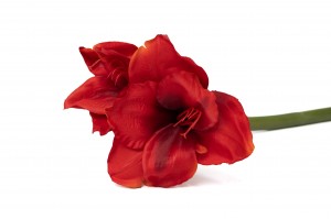 amaryllis-artificielle-41